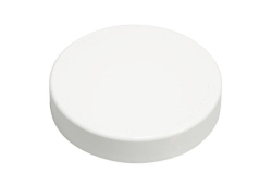 4" PVC Insert Test Cap