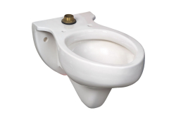 Wall-mounted Top Spud Flushometer Bowl,Elongated bowl, White