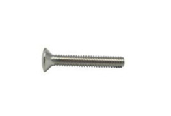 Face Plate Screw in Polished Chrome