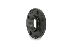 1/2" Ductile Iron Black Threaded Companion Pipe Ceiling Flange